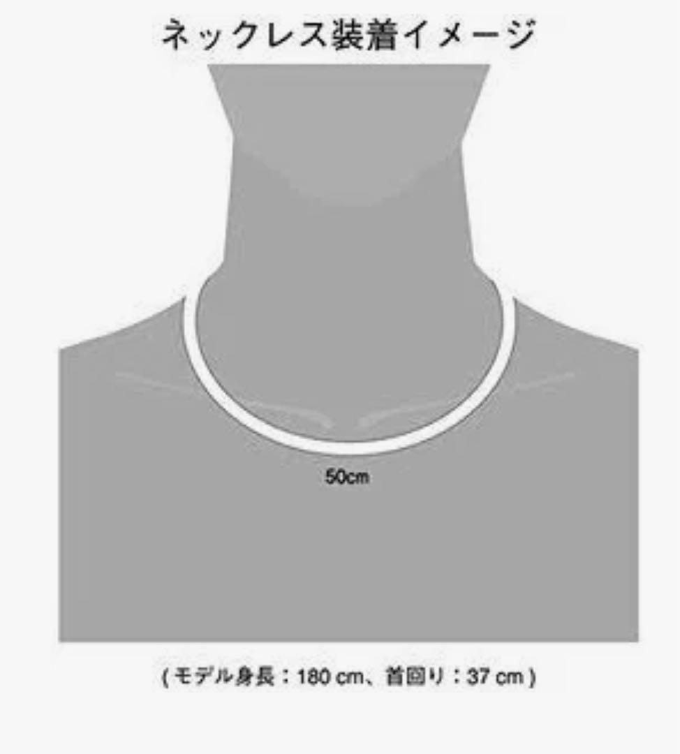 ファイテン X100 カーボンファイバー ネックレス RAKUWA シルバー