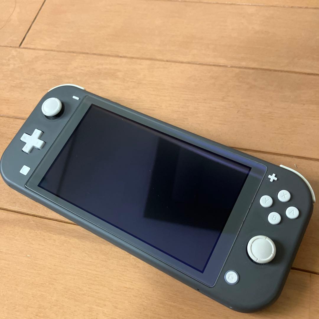 Nintendo Switch Lite グレイ/液晶画面フィルム＆充電器付き