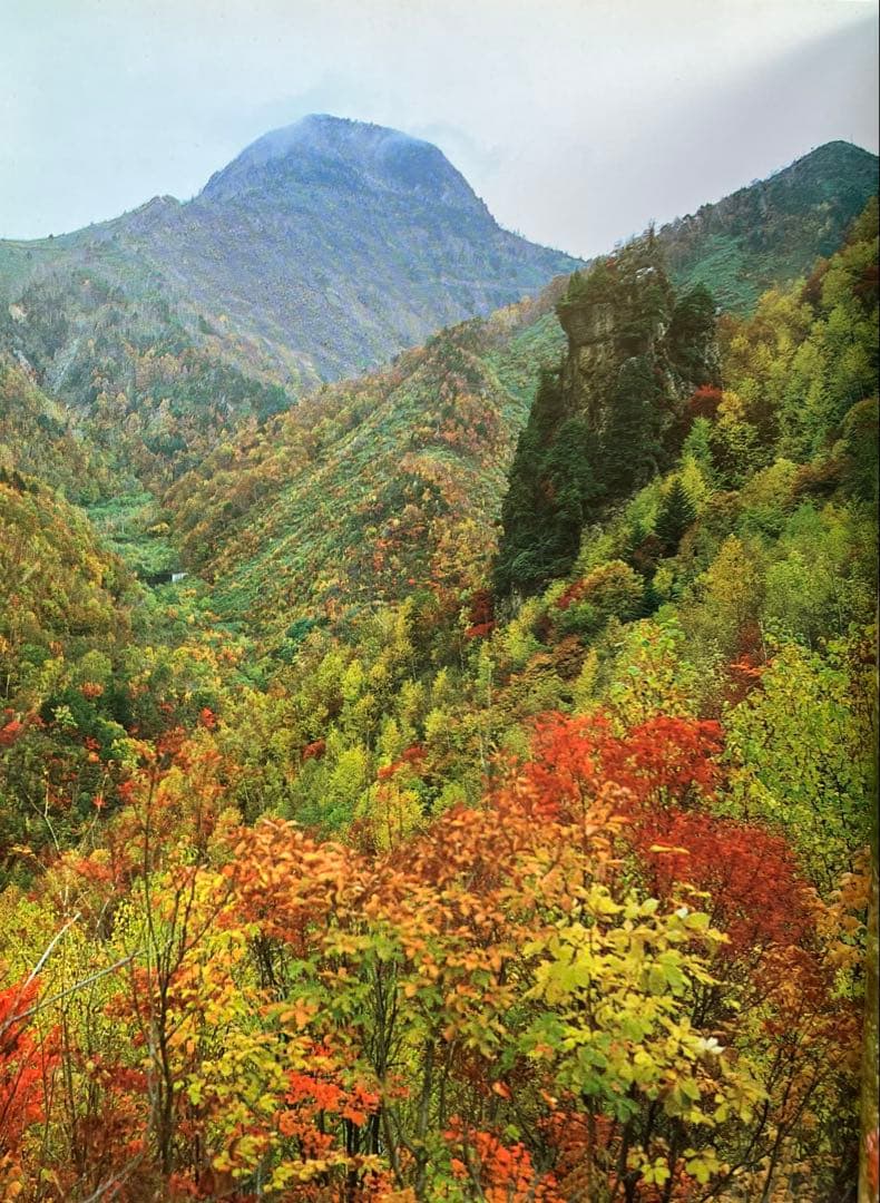 信州山岳百科 III