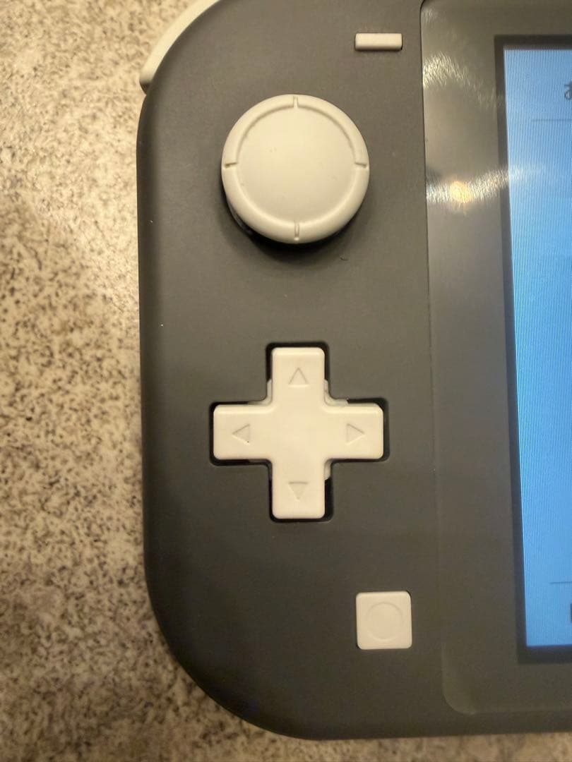 Nintendo Switch Lite グレー 充電器　箱付き