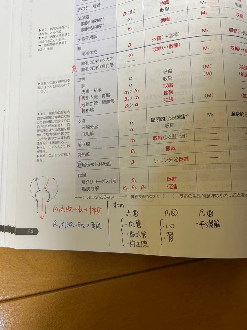 薬剤師国家試験111回青本青問セット