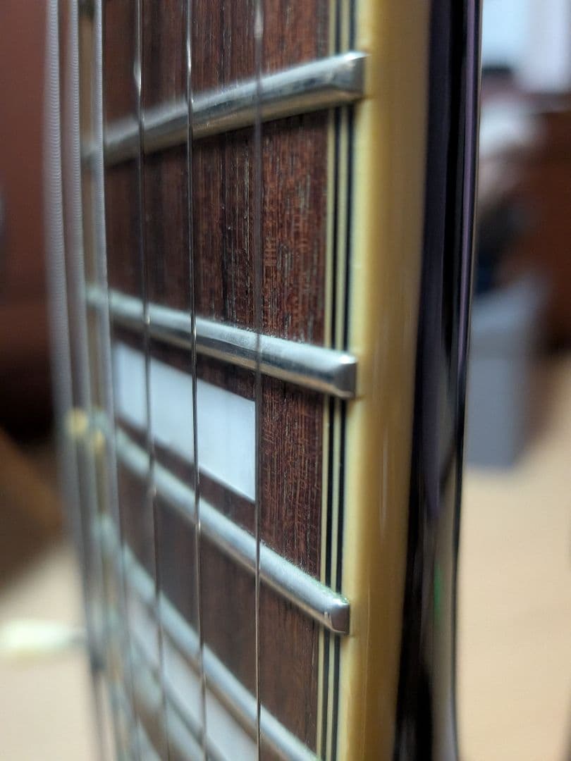 Aria Pro II PE-DLX Kahler搭載2008年レスポールタイプ