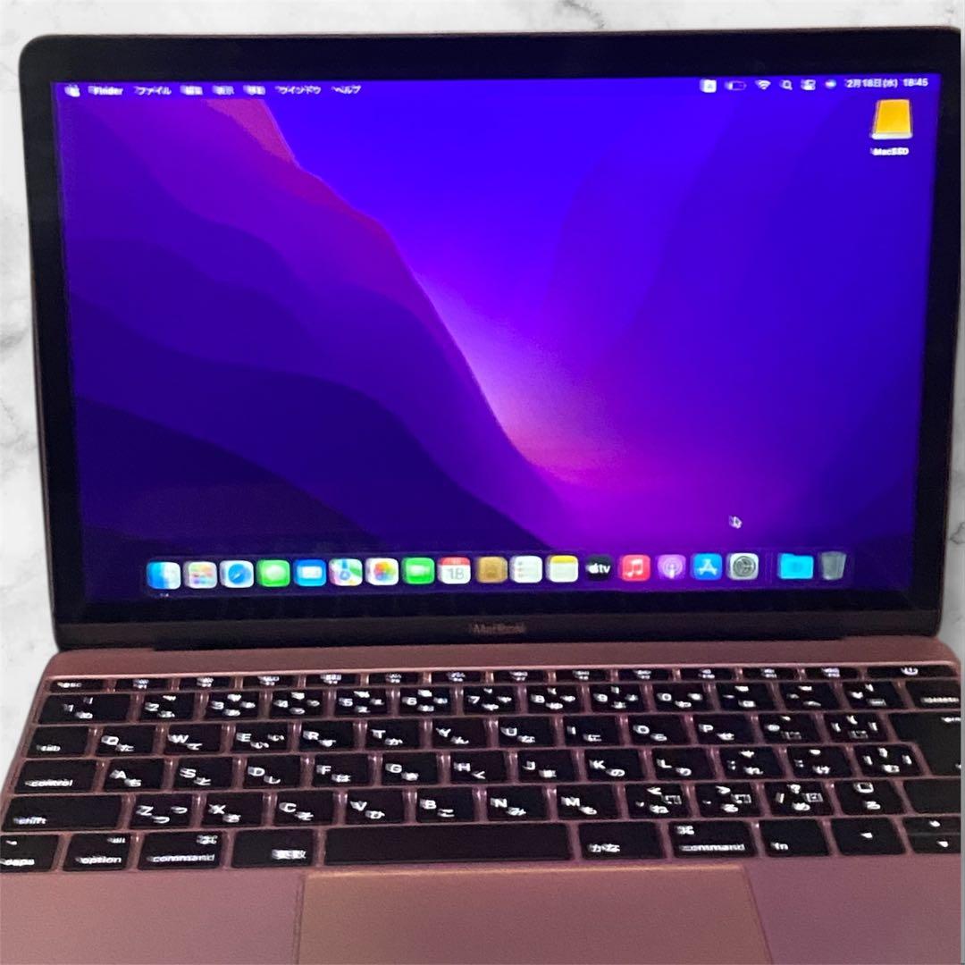 【美品】サンディスクSSD1T付MacBook 2017 i5 ローズゴールド