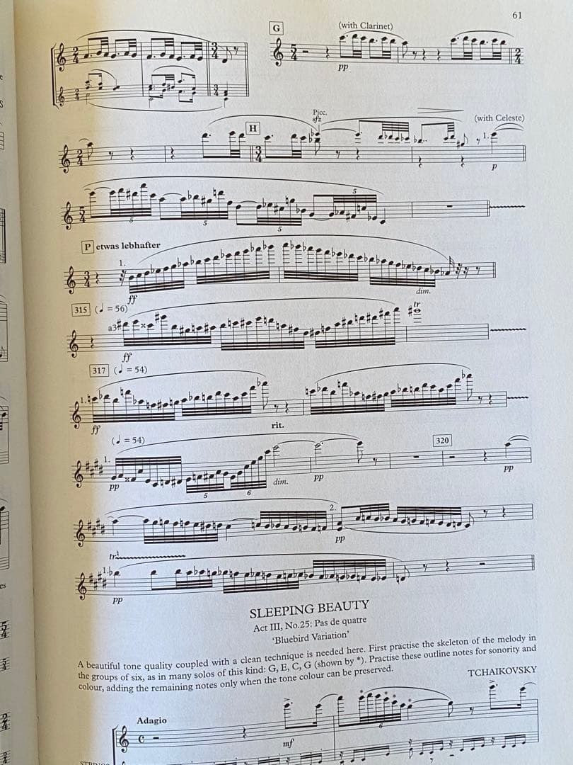 アート・デザイン・音楽 THE ORCHESTRAL FLUTE PRACTICE BOOK 1