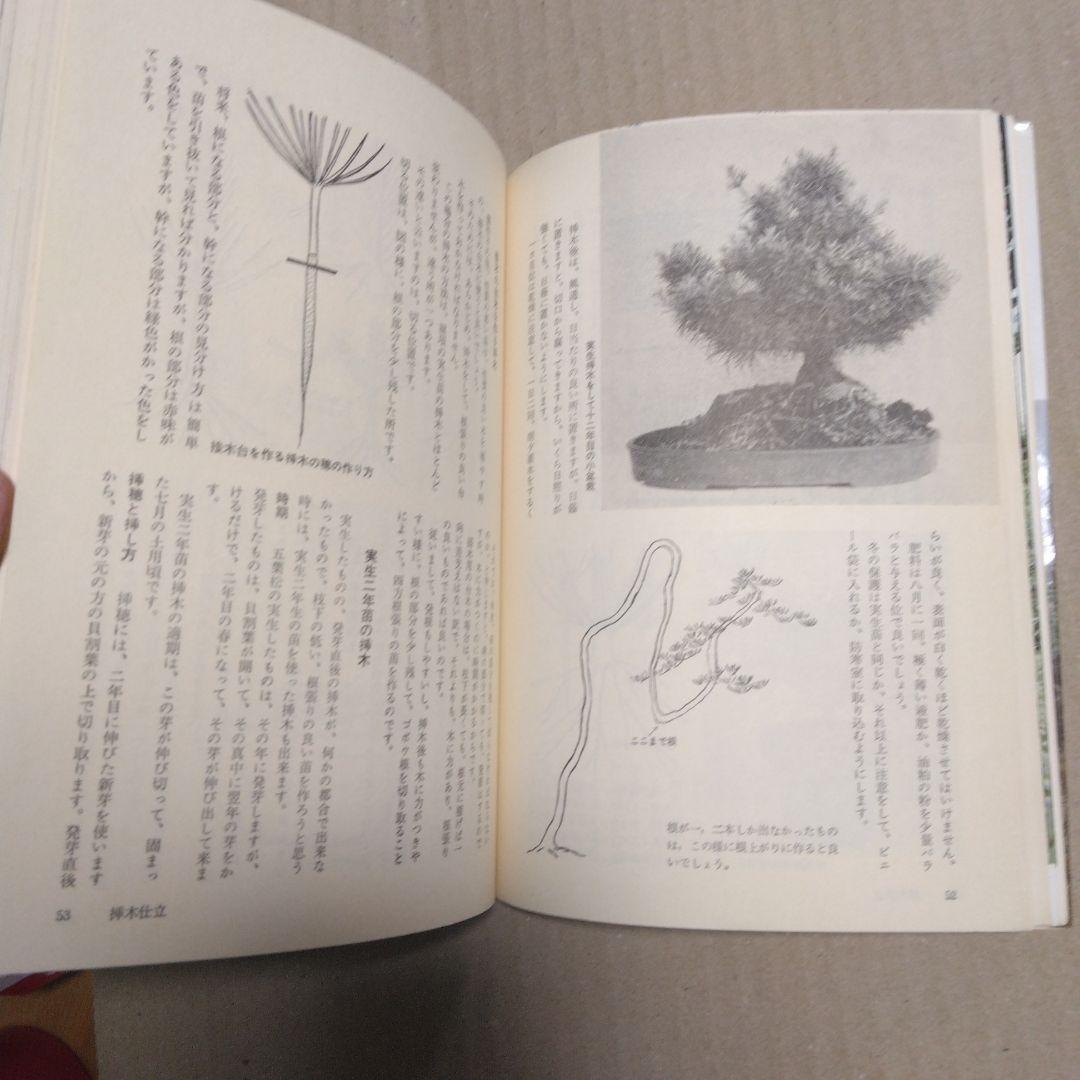 初期版　図解　盆栽樹形の作り方 阿部倉吉　五葉松盆栽の整姿・整形　昭和52年6版