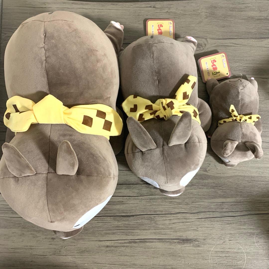 【24時間以内発送】Pちゃん ましゅもっちぬいぐるみ らんま2分の1