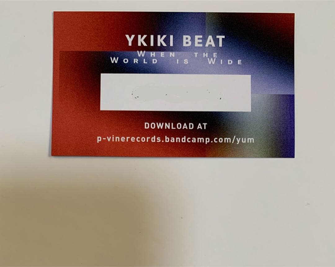 Ykiki Beat『When the World is Wide』LP