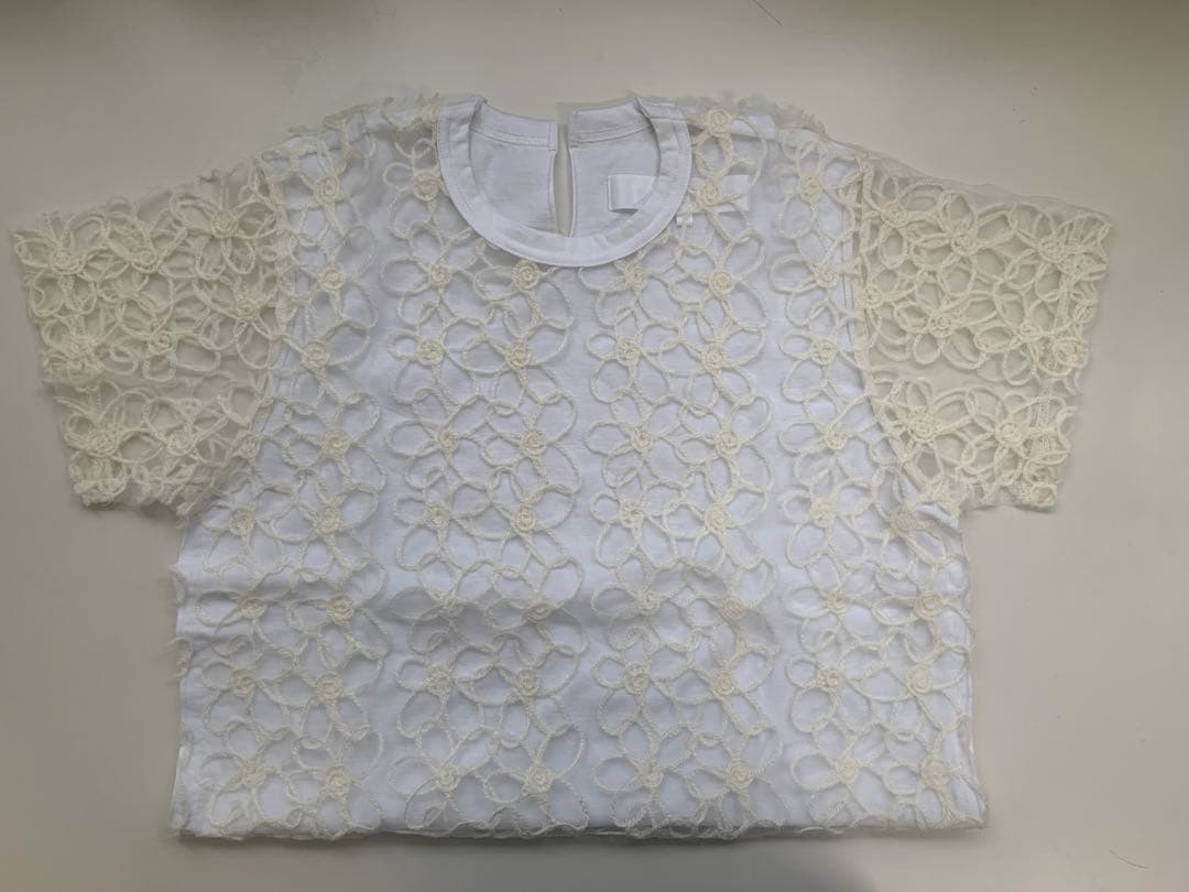2024 SS タオコムデギャルソン　シアートップス　Ｔシャツ