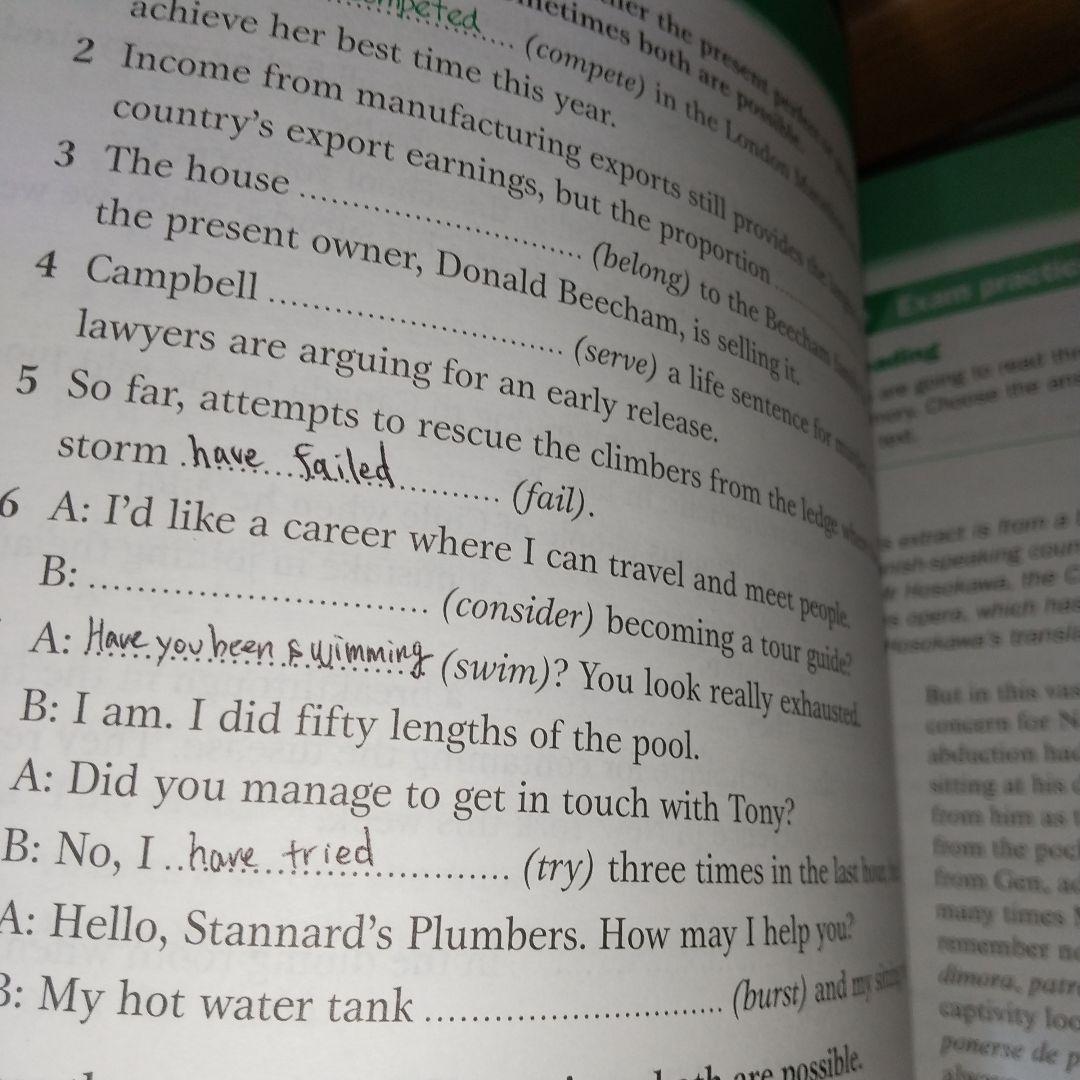語学・辞書・学習参考書 Cambridge Grammar for CAE and Proficien