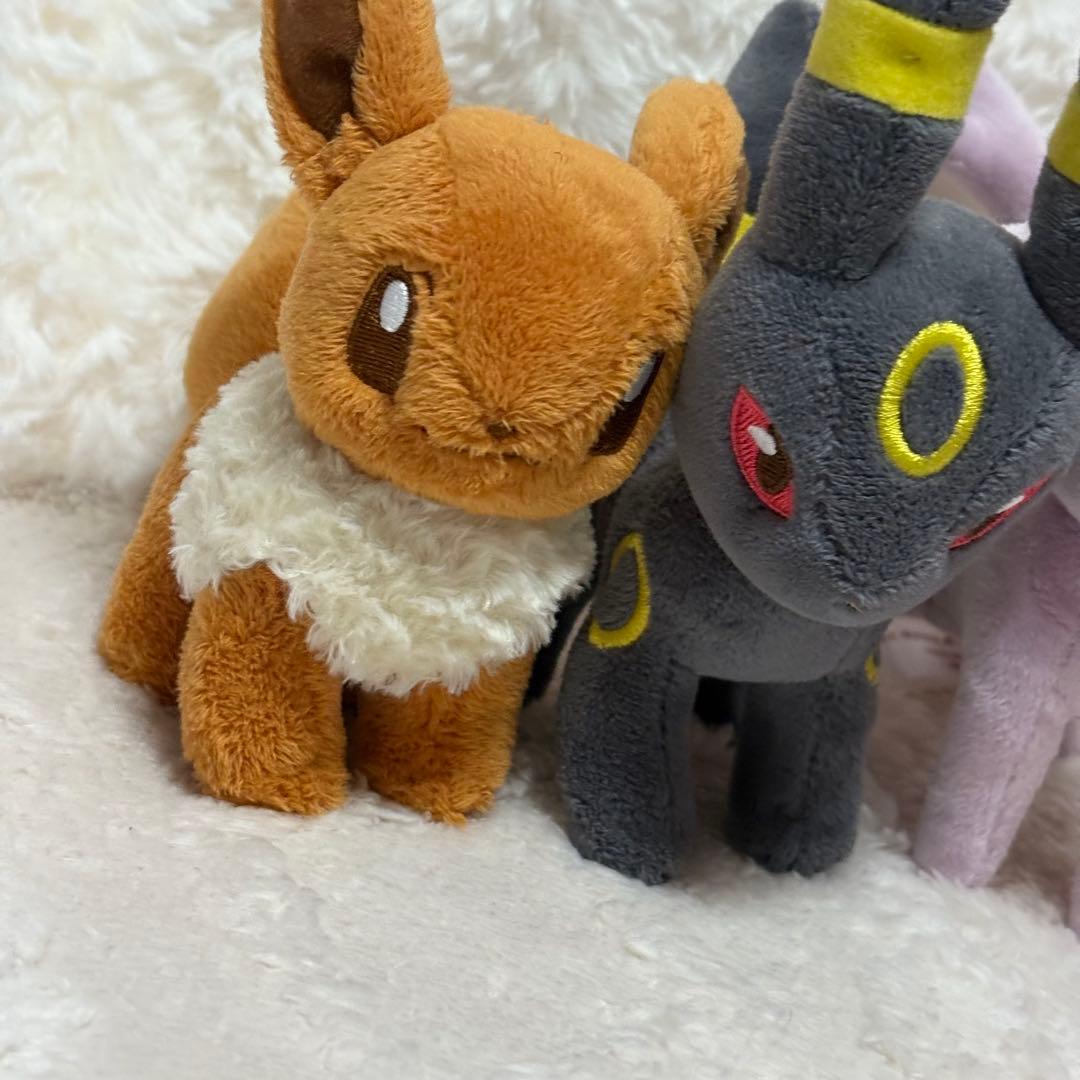 希少 ポケモンキャンバス イーブイ ブラッキー エーフィ セット 2009