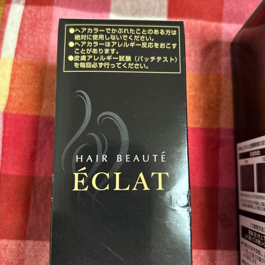ヘアボーテ エクラ ボタニカル エアカラーフォーム 黒 150g 2本セット