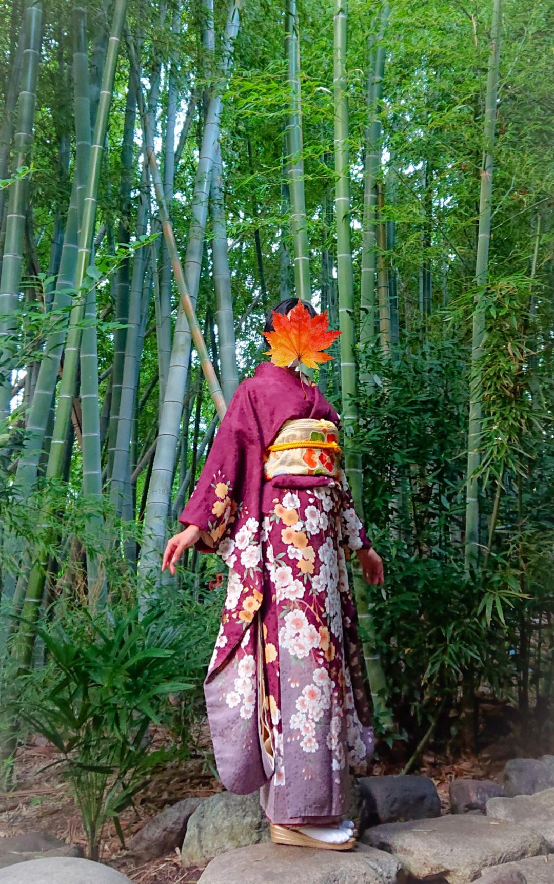振袖 裾暈し 八重桜 桜地紋