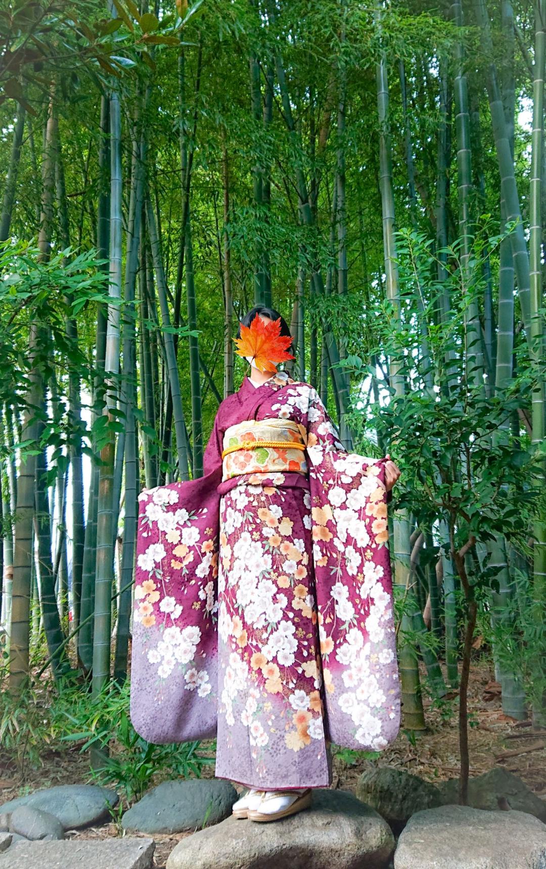 振袖 裾暈し 八重桜 桜地紋