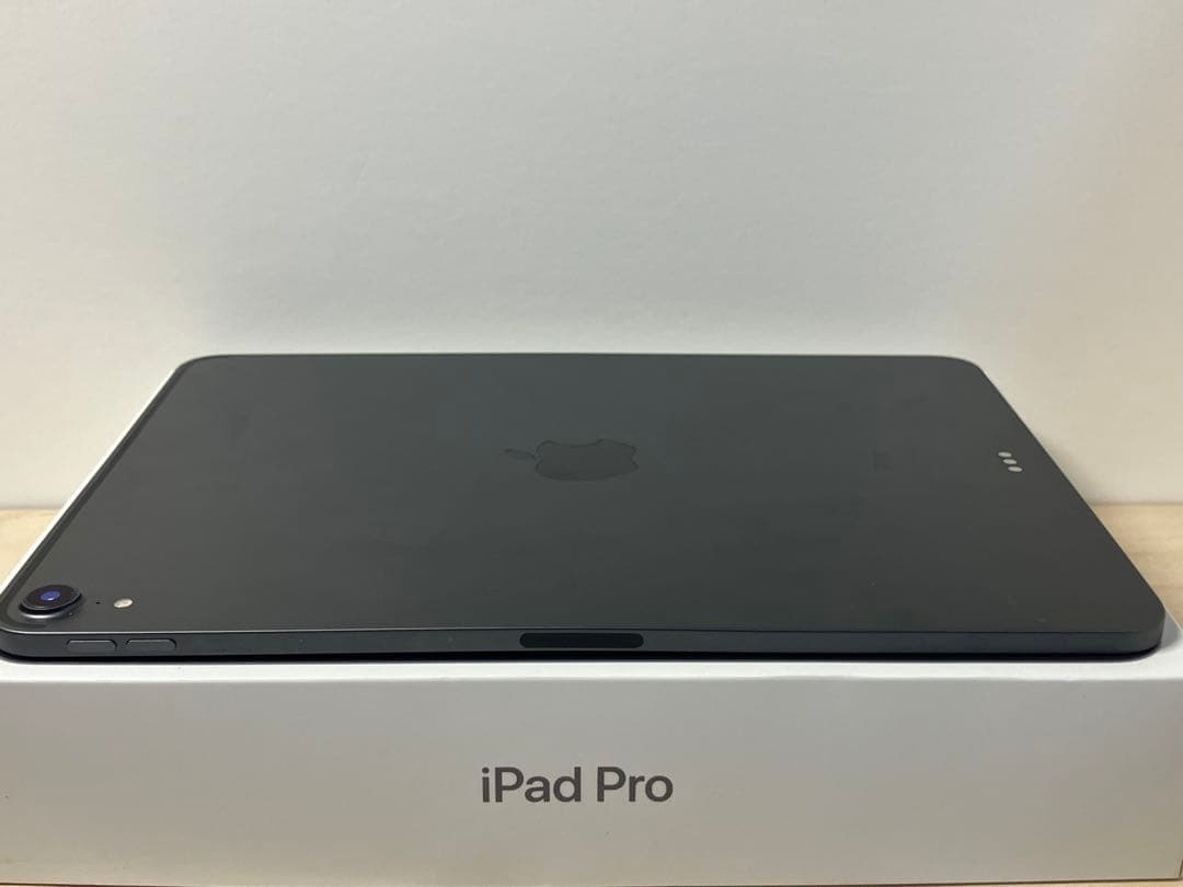 か*郎様 iPad Pro 11インチ 第一世代 スペースグレー 64GB Wi
