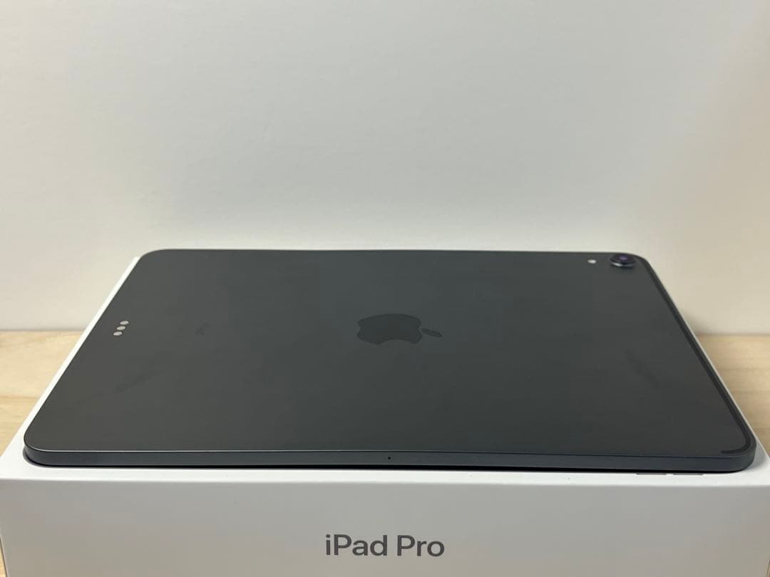 か*郎様 iPad Pro 11インチ 第一世代 スペースグレー 64GB Wi