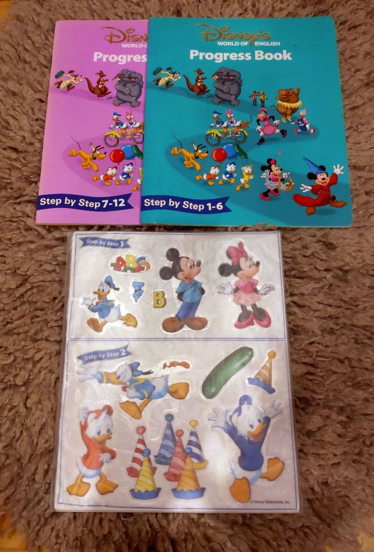【2013年】DWE メインプログラム ステップバイステップ他