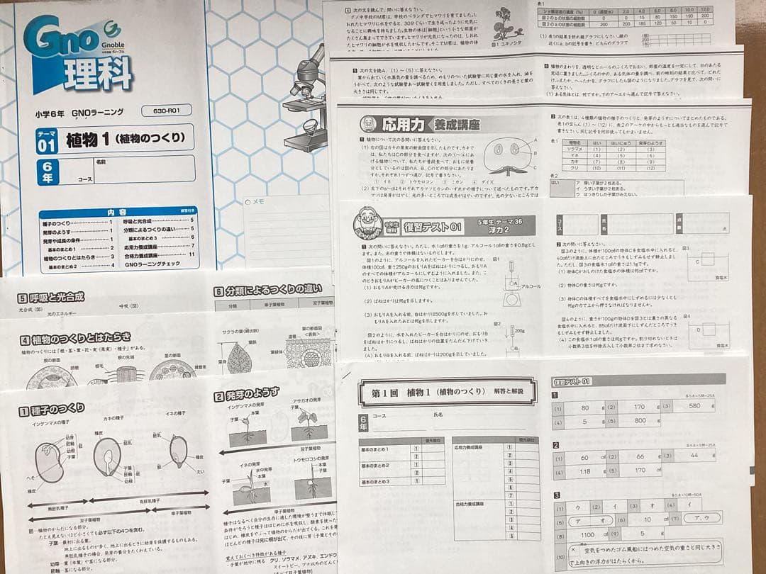 中学受験　グノーブル　6年理科フルセット