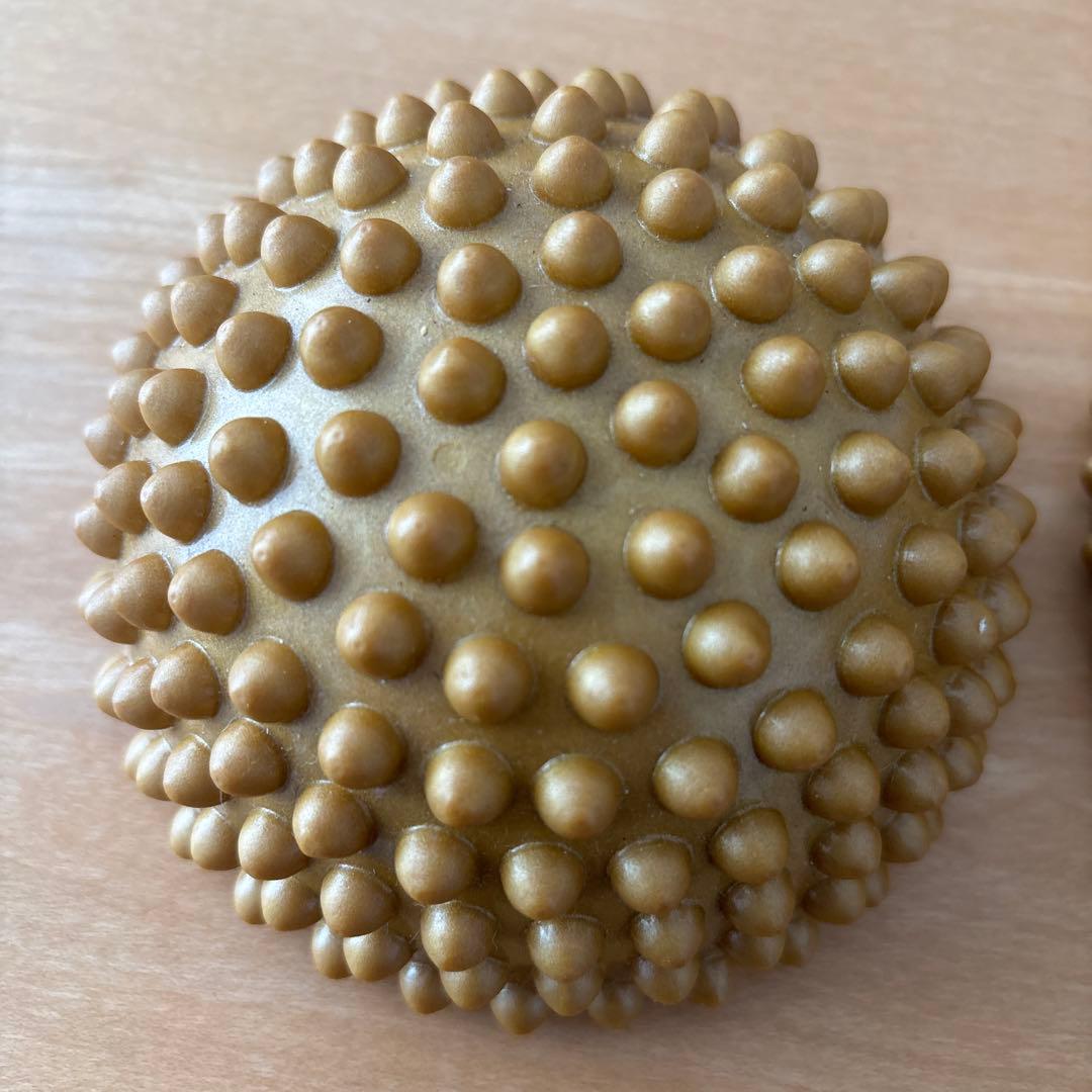Yamuna ヤムナ フットウェイカーズ　冊子付き