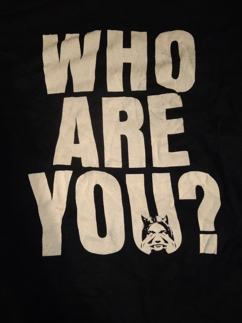 ペ*ん様 【HYSTERIC GLAMOUR】レディースTシャツ SIZE:FR