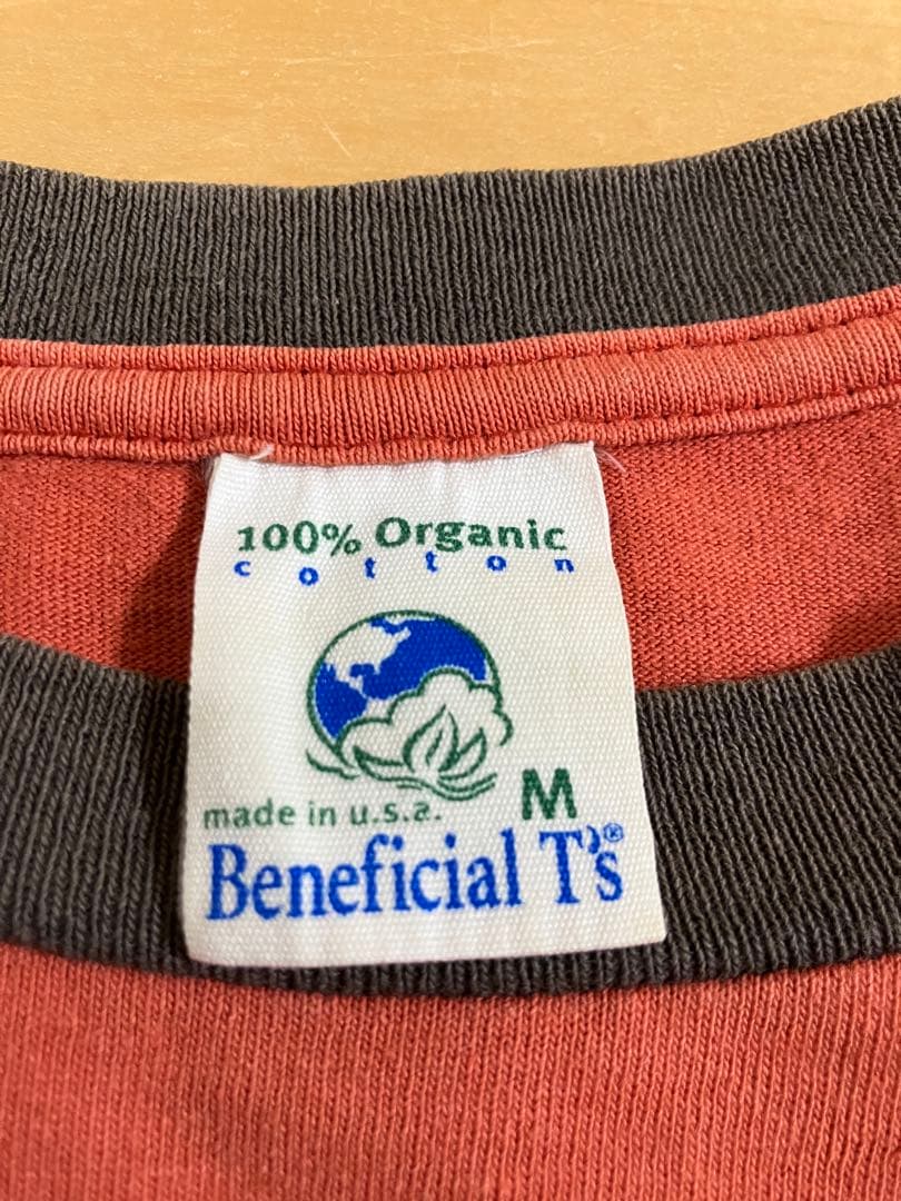 パタゴニア　patagonia 赤　シュウ色　Tシャツ M ヴィンテージT 希少