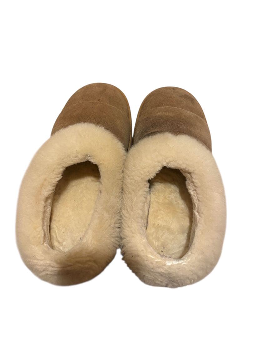 売り切り最終価格。箱付！UGG ダズリータ　25cm