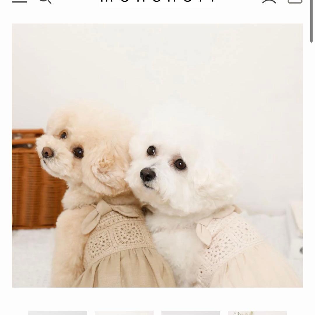 モンシェリ monchéri ペット 服 M