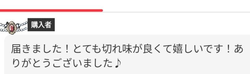 スパッと切れる理美容師プロ用シザーカットバサミセニングシザー10%人気の溝無し✨