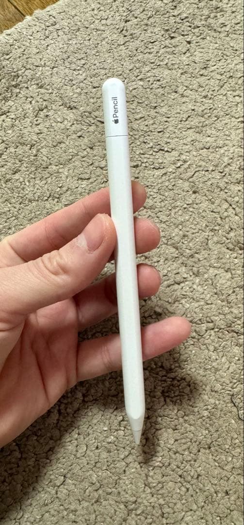 iPadアクセサリー Apple Pencil (USB-C) MUWA32ZA/A