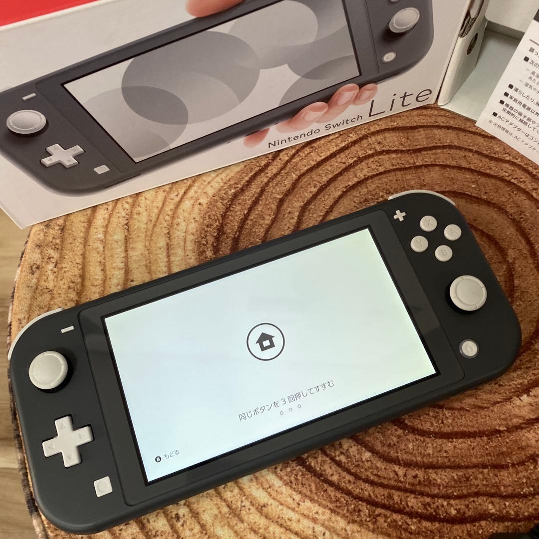 Nintendo Switch Lite グレー　本体 ①