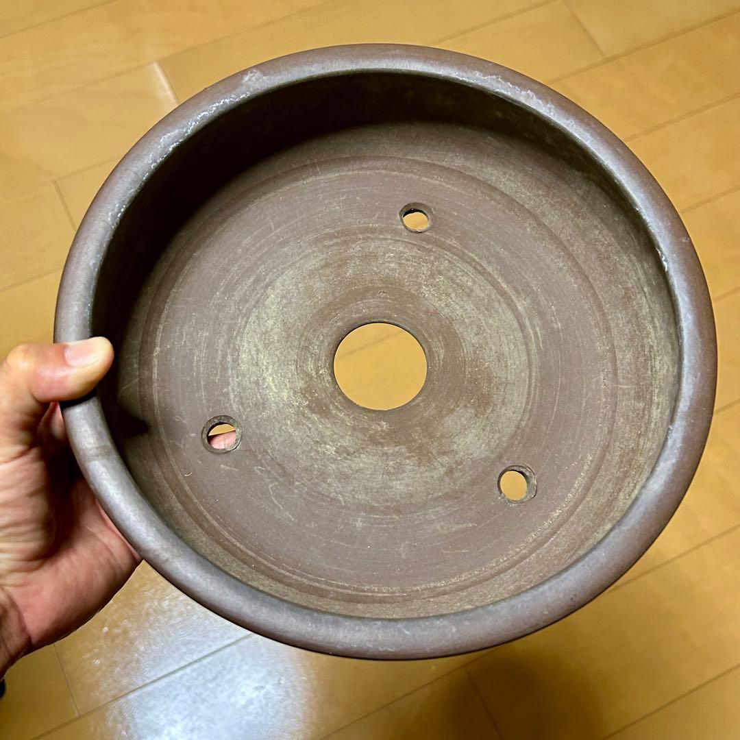 【盆栽鉢】常滑（一友）丸鉢