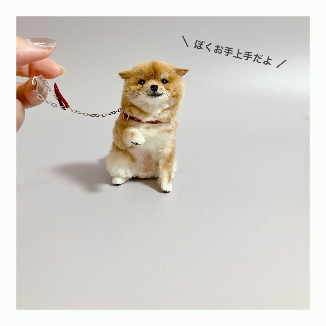 送料無料｜羊毛フェルト柴犬｜ブライス｜カスタムブライス｜ドールハウス｜柴犬｜豆柴
