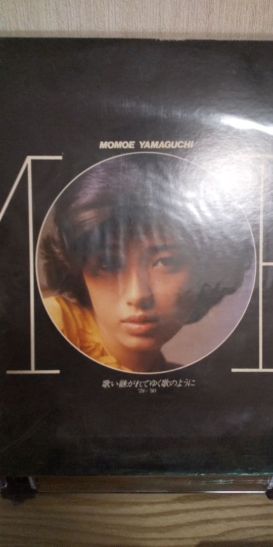 レコード  盤とクリーナー