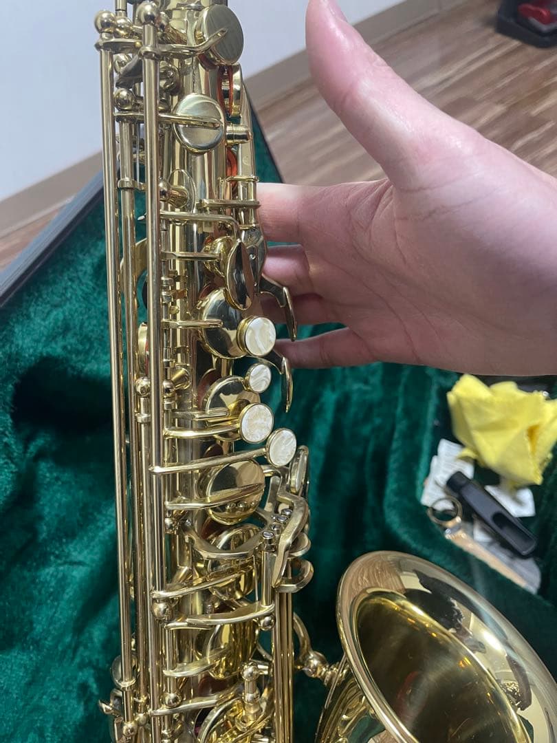 【美品】アルトサックス Kaerntner KAL-62 (写真の付属品一式)