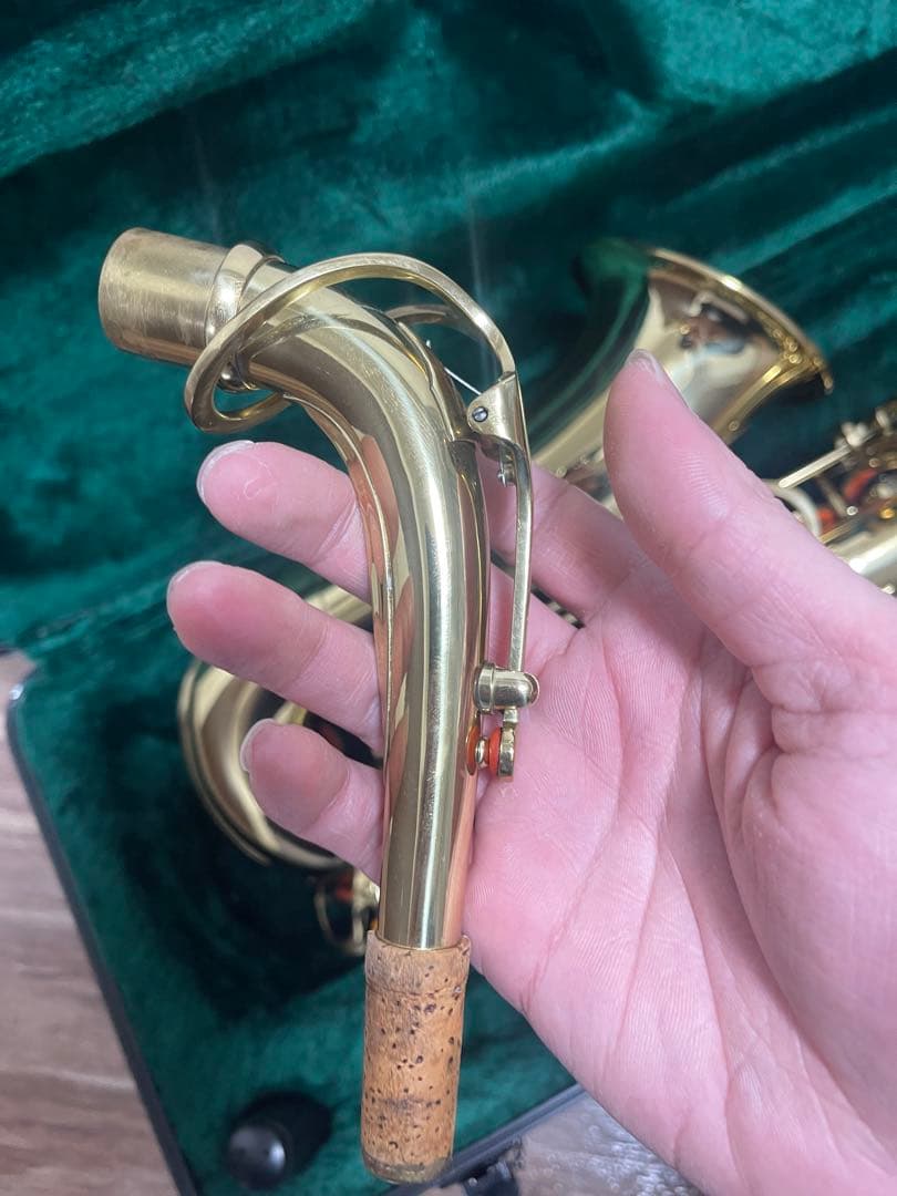 【美品】アルトサックス Kaerntner KAL-62 (写真の付属品一式)