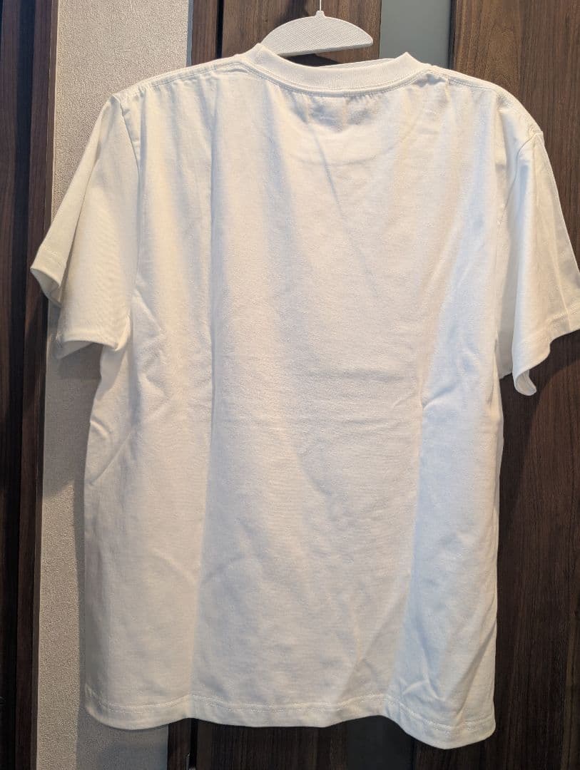 藤沢なな もんじょり 10周年記念Tシャツ