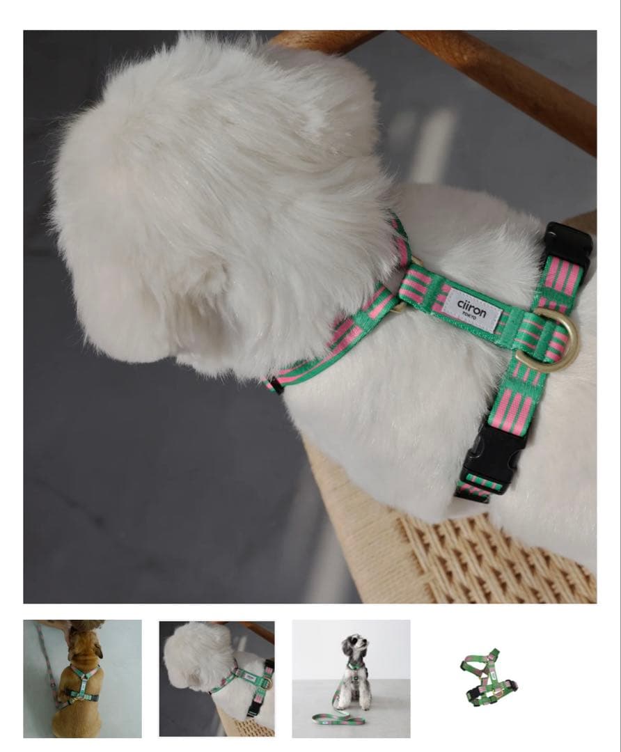 ciiron TOKYO ハーネス リード　セット　Pentas 別々でも交渉可