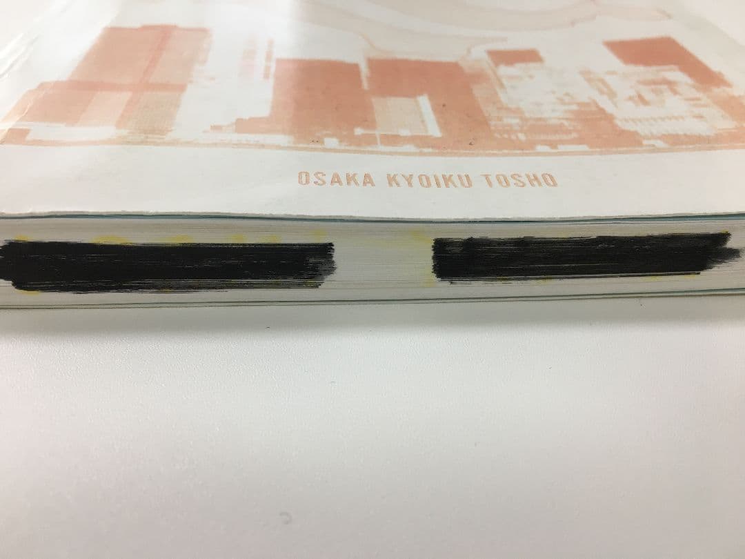 An Innocent Abroad 留学泣き笑い