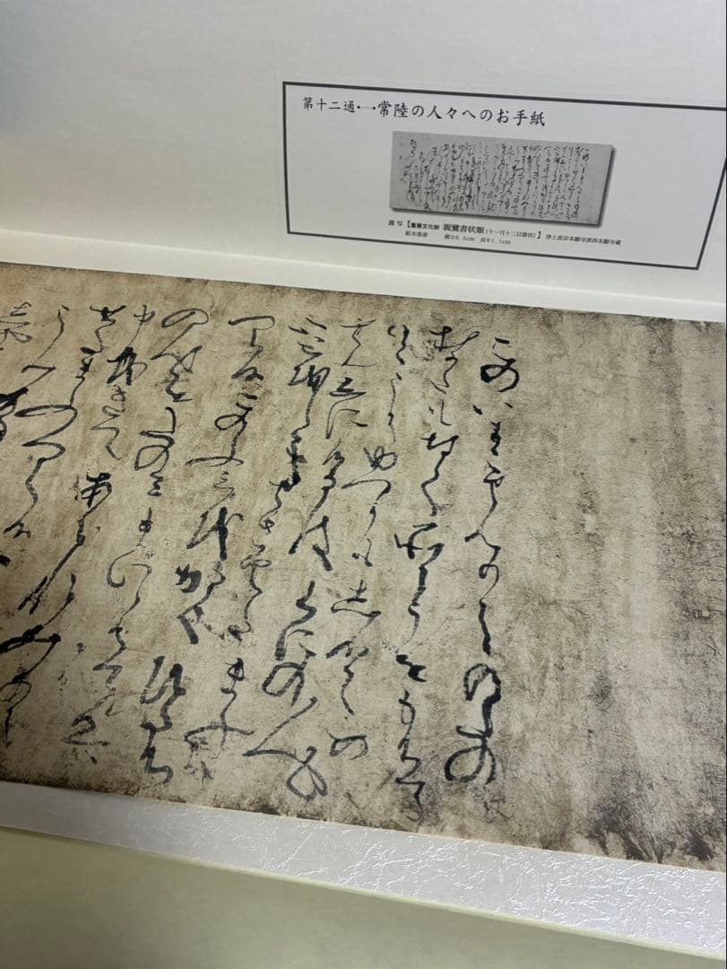 親鸞聖人のお手紙御真筆消息のすべて国宝倶楽部コレクション　仏教　浄土真宗　親鸞