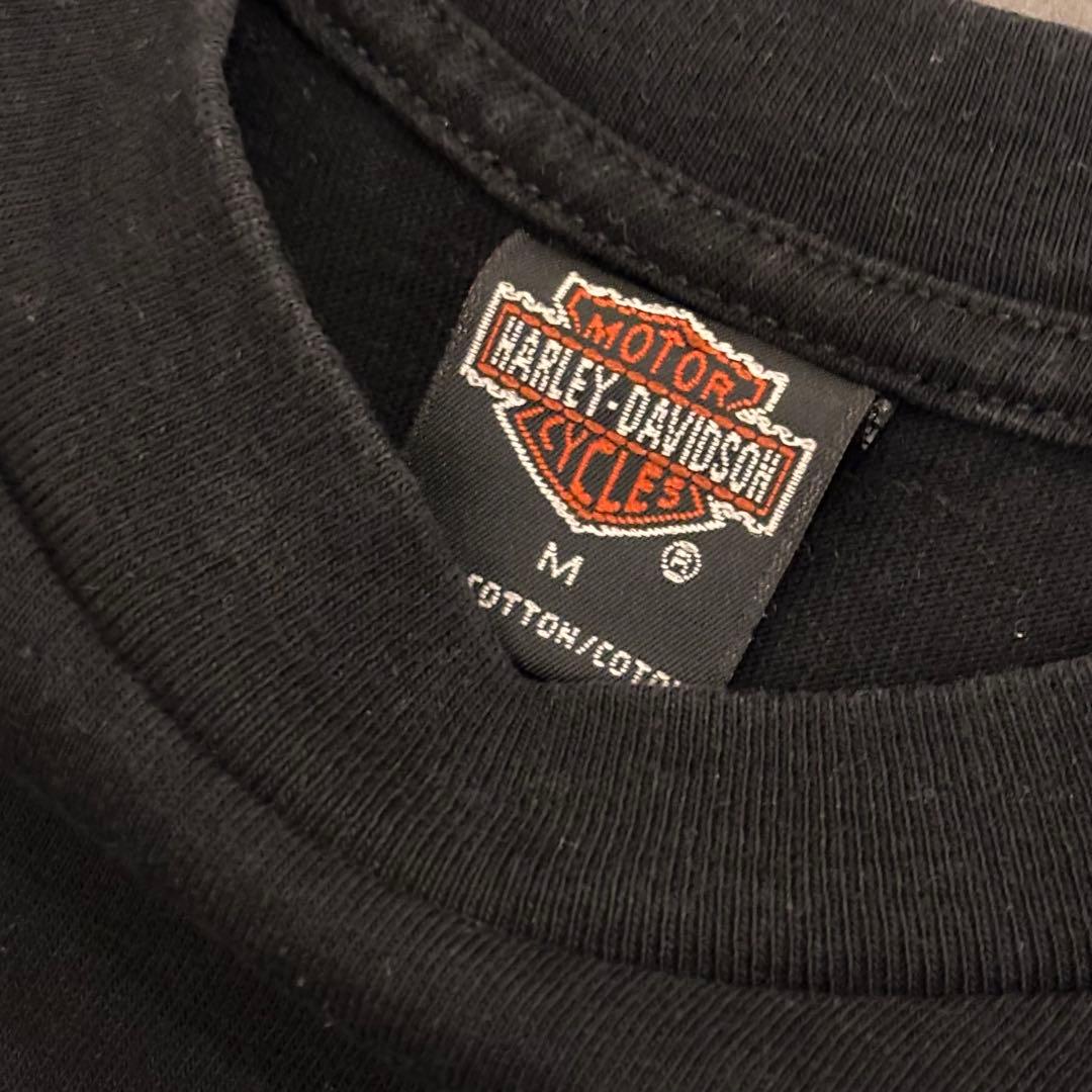 アメリカ製 Harley-Davidson ビンテージハーレーTシャツ