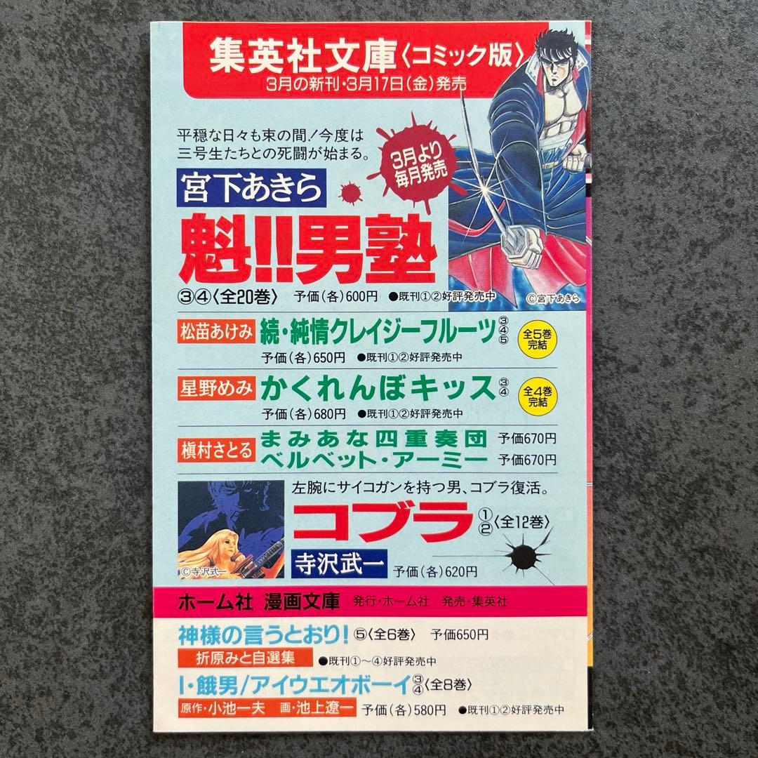 NARUTO 1巻 初版本 封入品 集英社のコミックスニュース チラシ 一巻 2