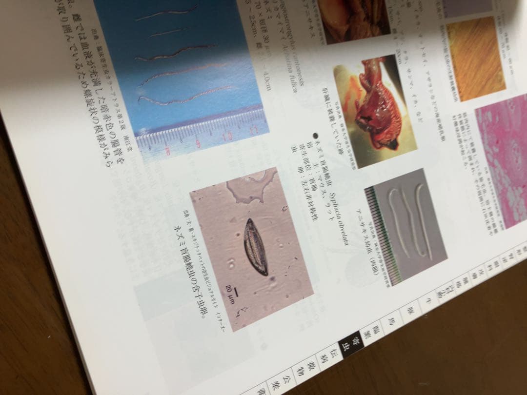 獣医師国家試験対策　カラーアトラス　麻布大学　2017年　獣医　国家試験