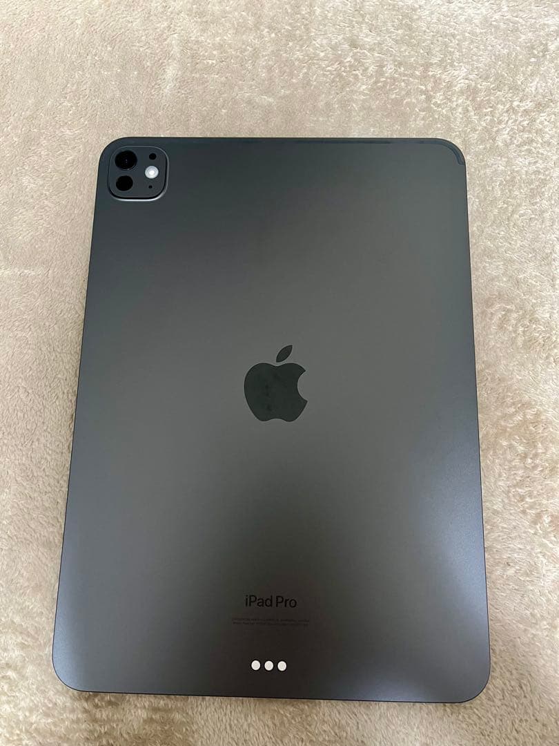 iPad Pro M4 11インチ 256GB Wi-Fiモデル
