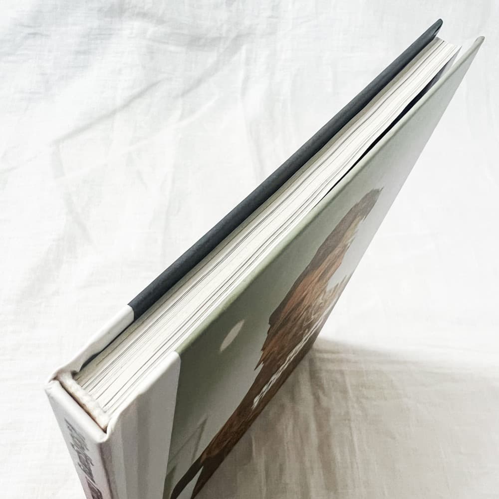 Wolfgang Tillmans/ ヴォルフガング・ティルマンス 作品集.