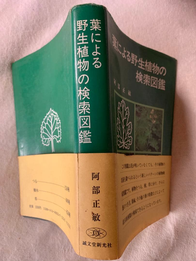 葉による野生植物の検索図鑑 阿部 正敏　誠文堂新光社