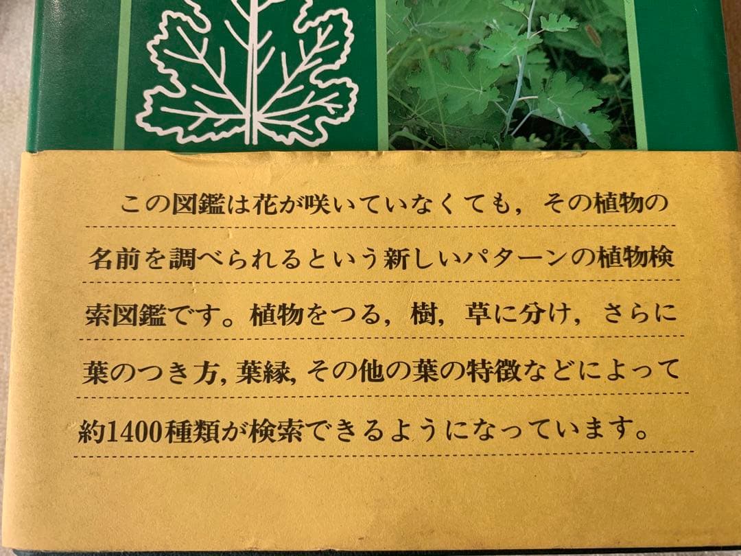 葉による野生植物の検索図鑑 阿部 正敏　誠文堂新光社