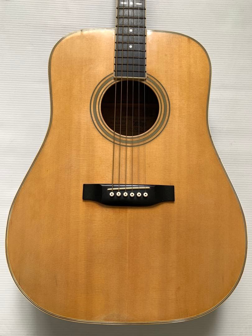キャッツアイ　アコースティックギター　CE-250 M70606-2