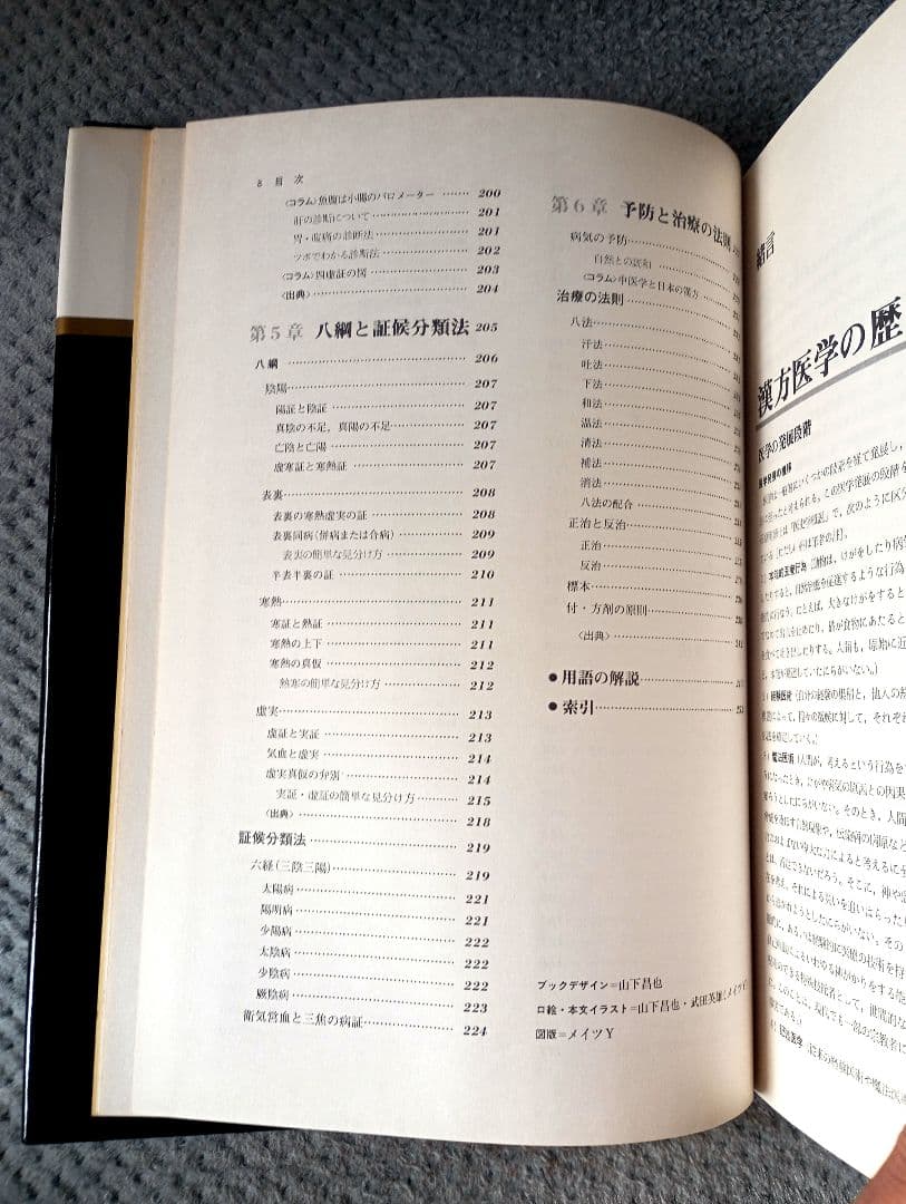図説 東洋医学　山田光胤/代田文彦/はやし浩司