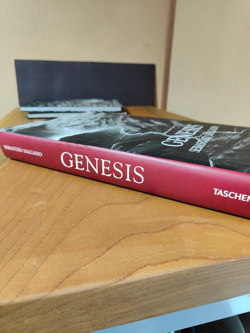 GENESIS SEBASTIÃO SALGADO TASCHEN