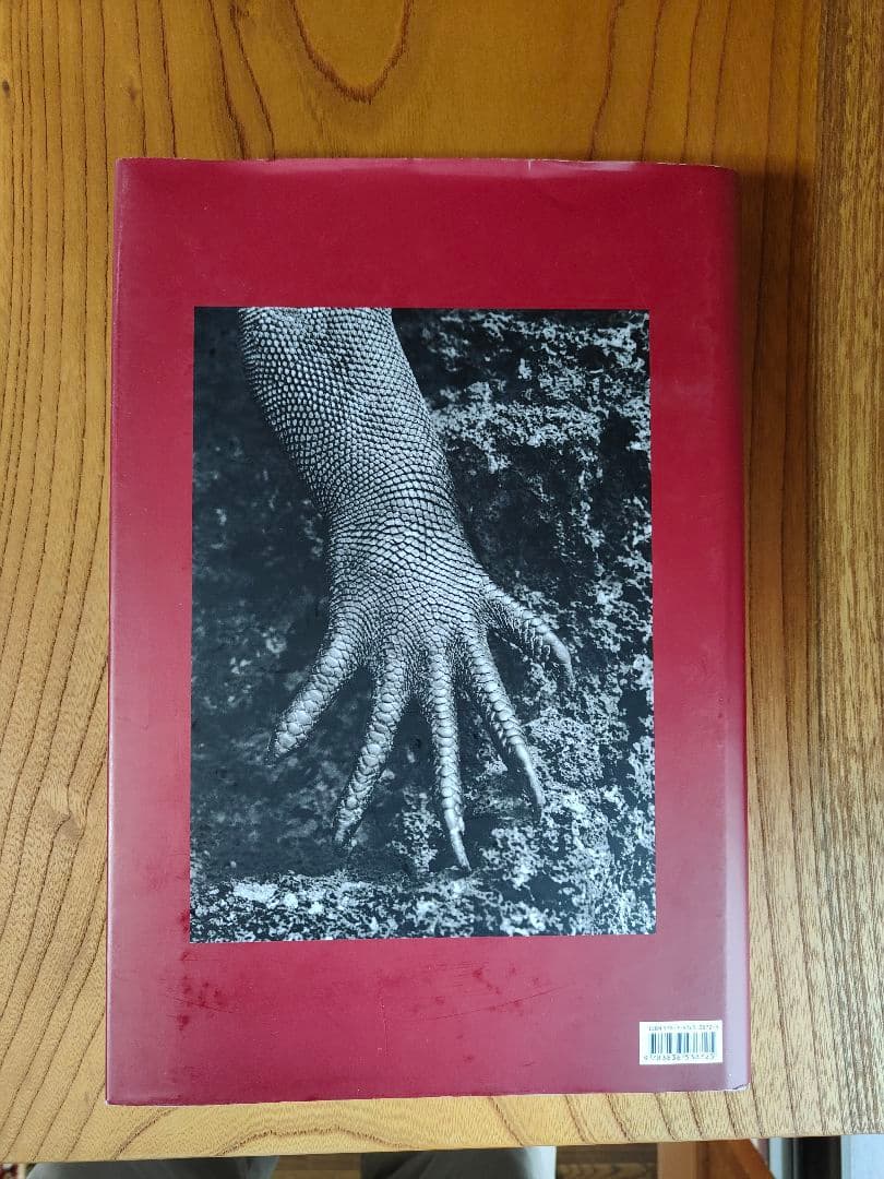 GENESIS SEBASTIÃO SALGADO TASCHEN