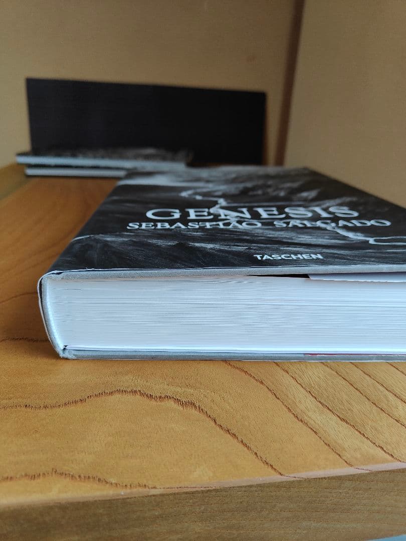GENESIS SEBASTIÃO SALGADO TASCHEN